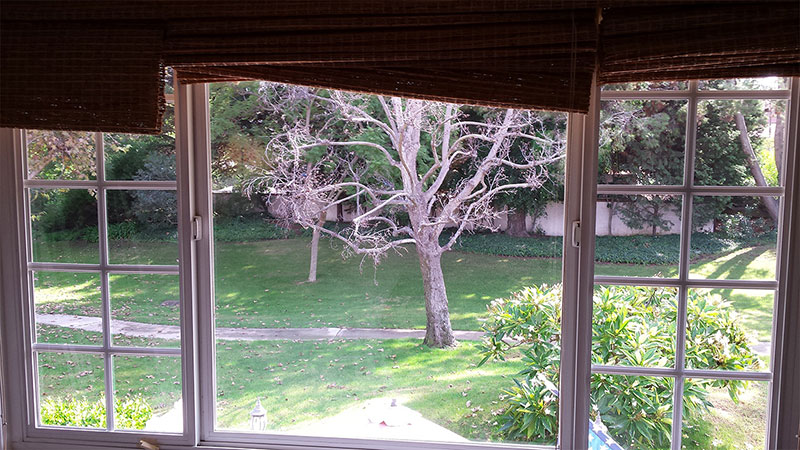 Picture of window after window cleaning in Laguna Beach by Blue Coast Window Cleaning Service.
