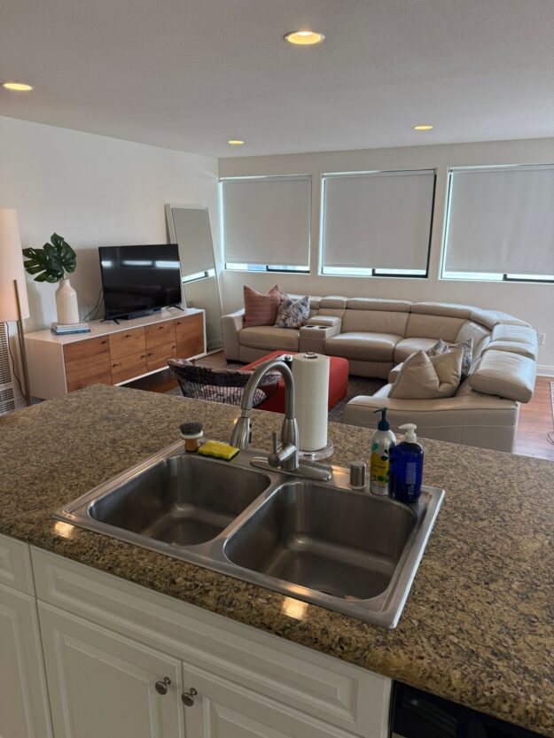 Professional House Cleaning Service Professional House Cleaning Service