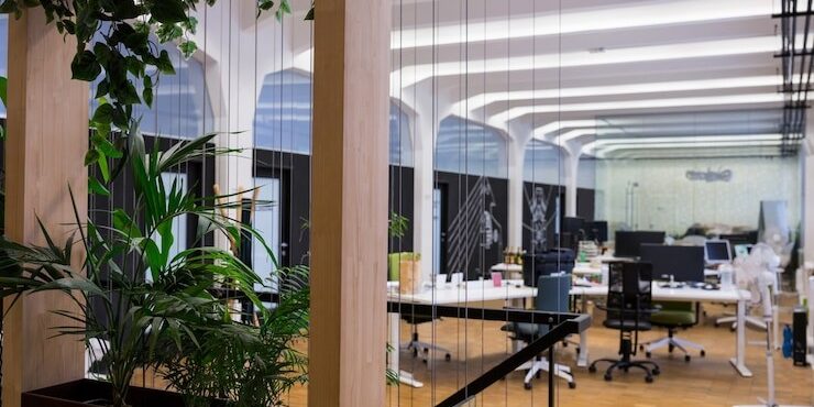 green cleaning green cleaning